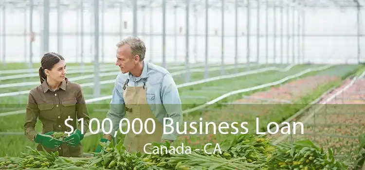 $100,000 Business Loan Canada - CA