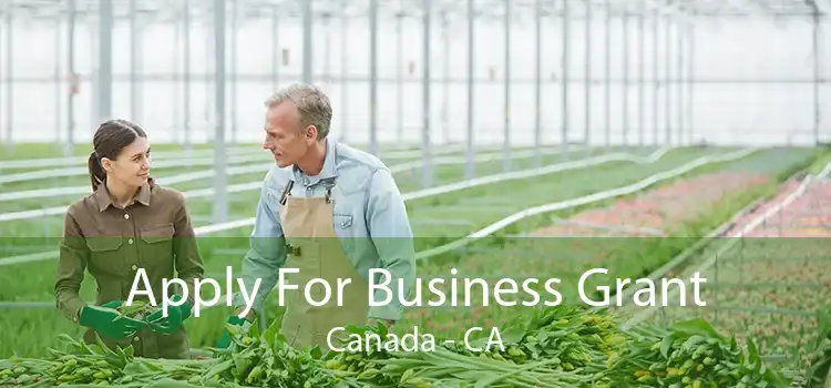 Apply For Business Grant Canada - CA